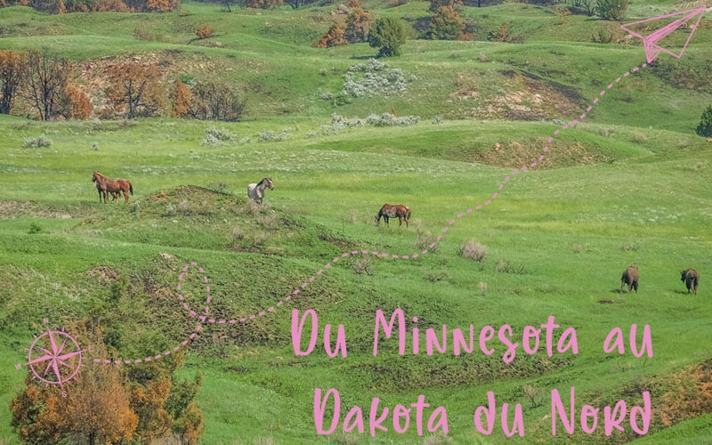 Des Forêts du Minnesota aux plaines du Dakota du Nord