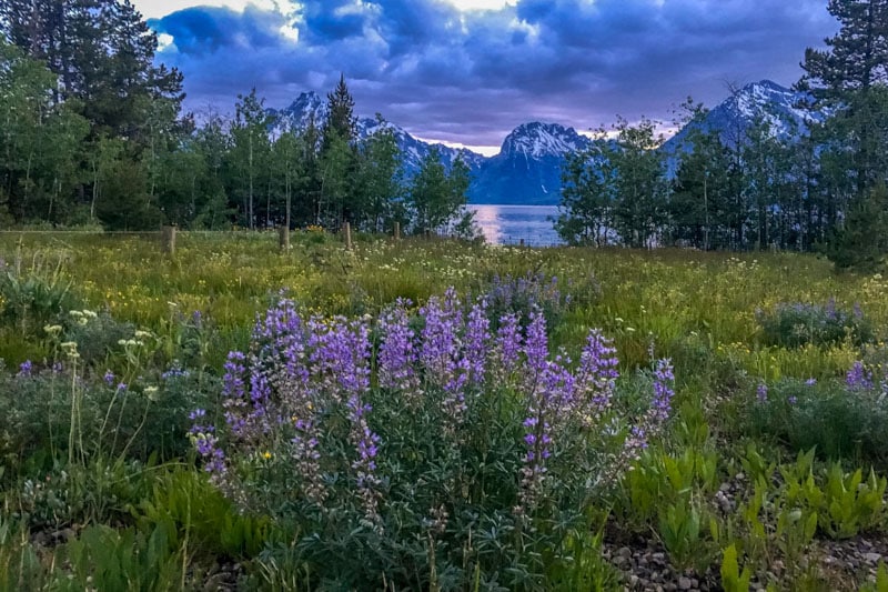 Grand Teton National Park - 00004