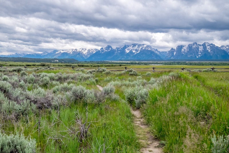 Grand Teton National Park - 00013