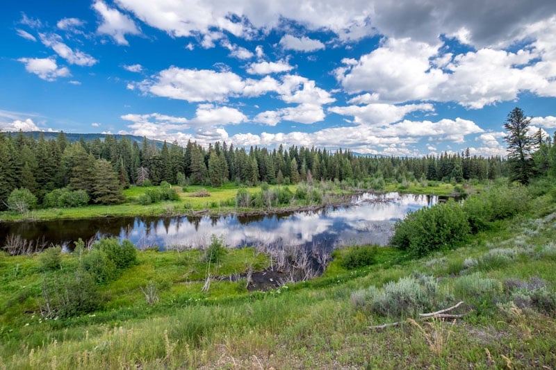 Grand Teton National Park - 00023