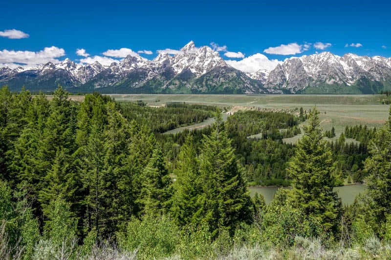 Grand Teton National Park - 00053