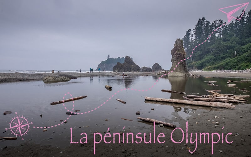 La Péninsule Olympic