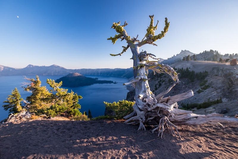 Des montagnes au désert de l'Oregon - 00010