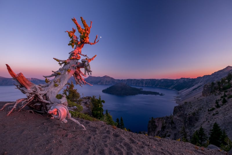 Des montagnes au désert de l'Oregon - 00011