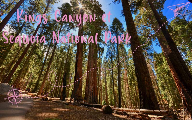 Sierra Nevada : Kings Canyon et Sequoia National Park