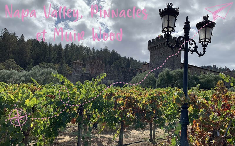 Autour de San Francisco : Pinnacles NP, la Napa Valley et Muir Wood