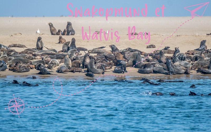 Une journée à Swakopmund et Walvis Bay