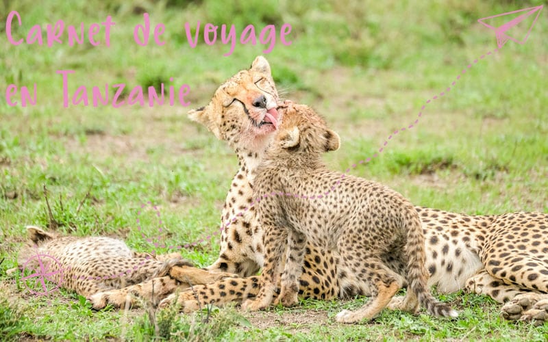 Carnet de voyage en Tanzanie