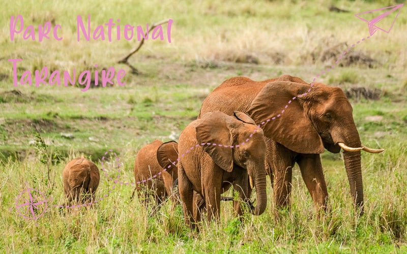 3 jours au Parc national Tarangire