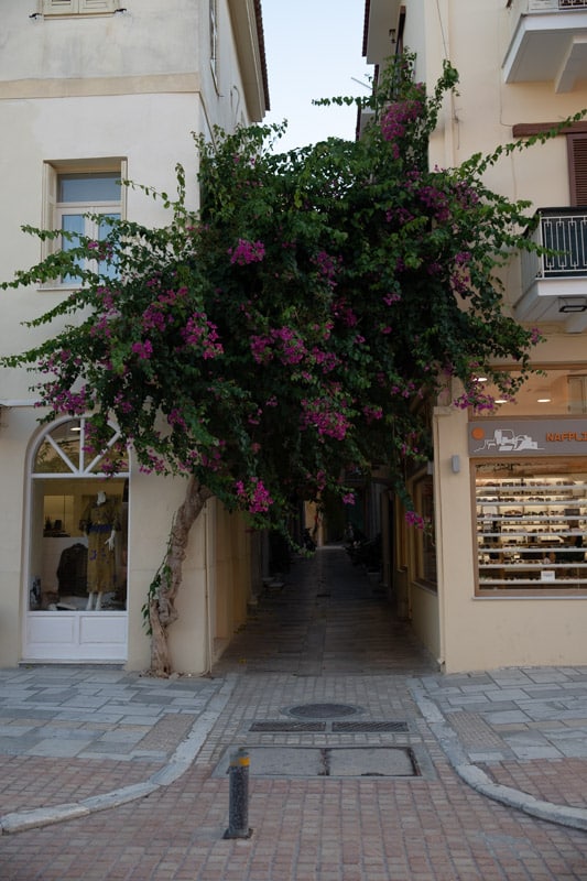 Le Péloponnèse - 00023