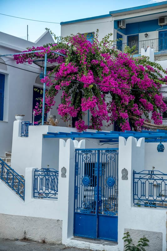 Naxos-110