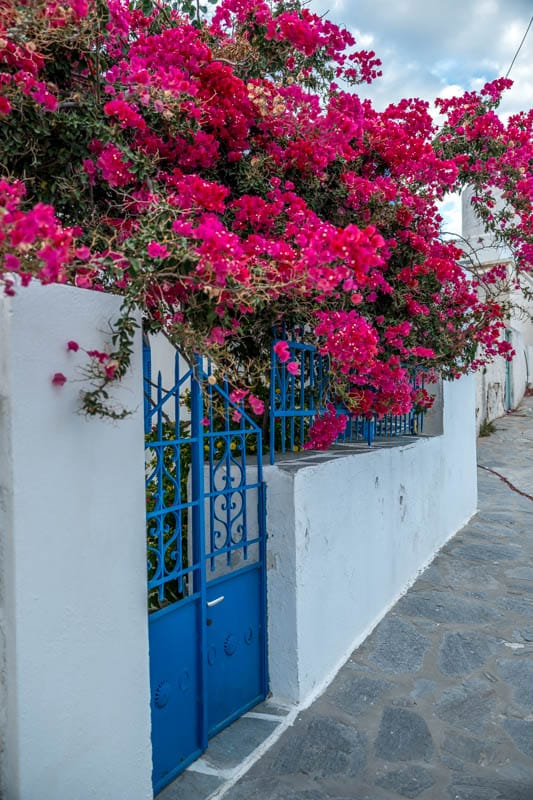 Naxos-115