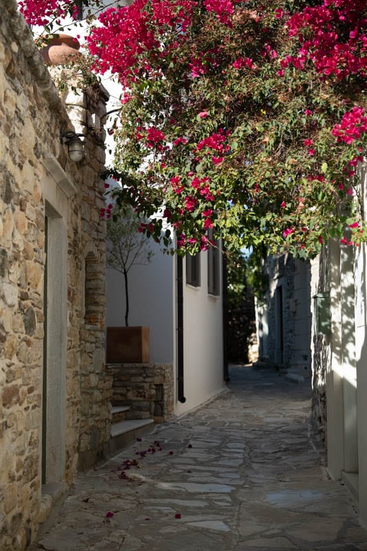 Naxos-238