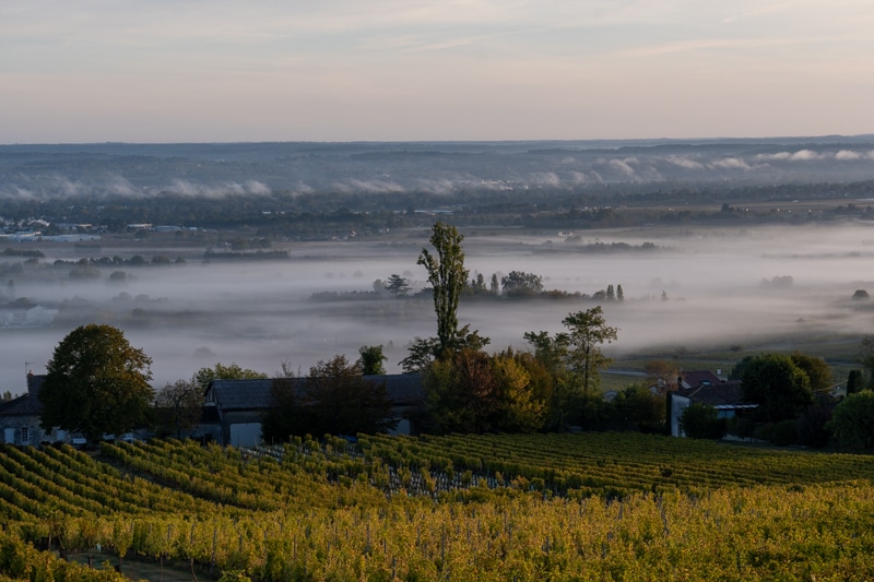 Auvergne et Périgord - 00535