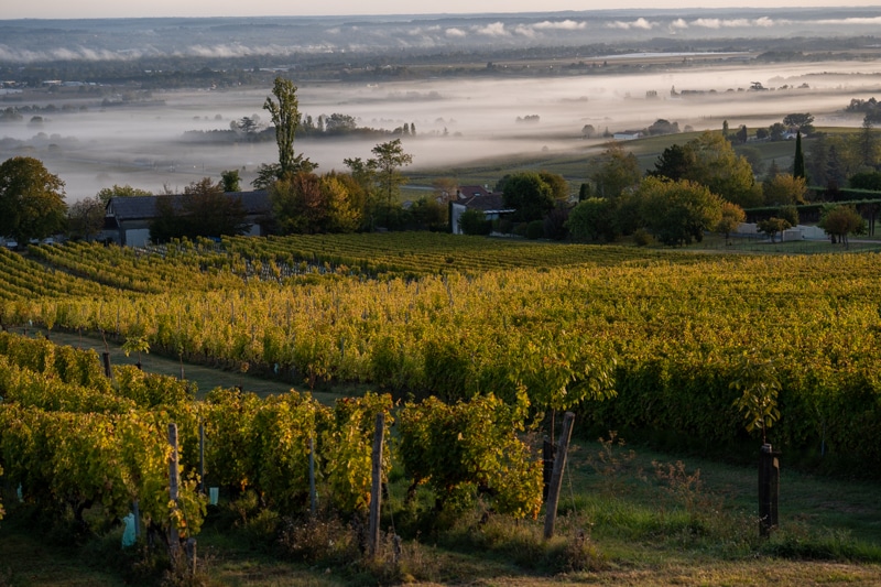 Auvergne et Périgord - 00541