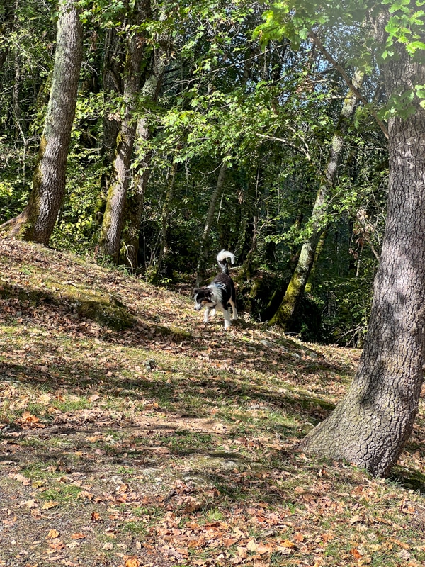 Auvergne et Périgord - 00542