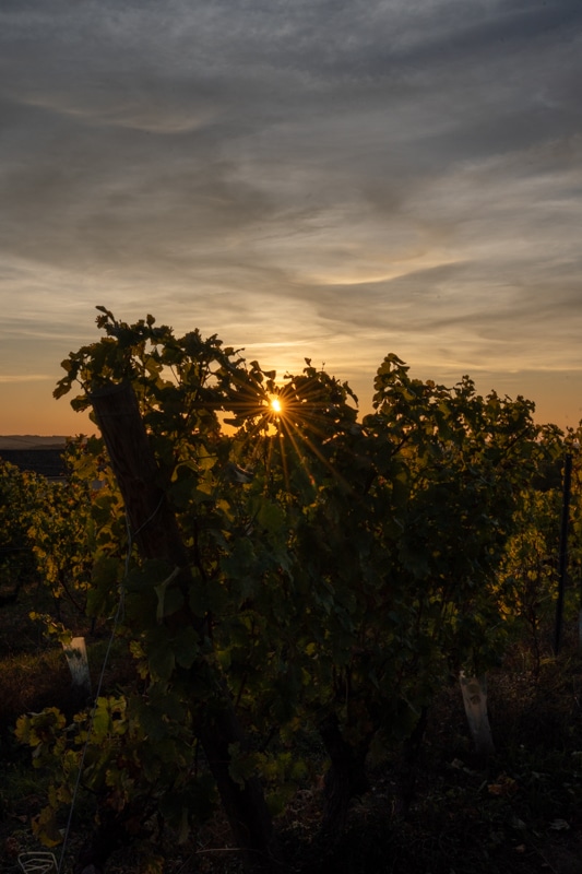 Auvergne et Périgord - 00575