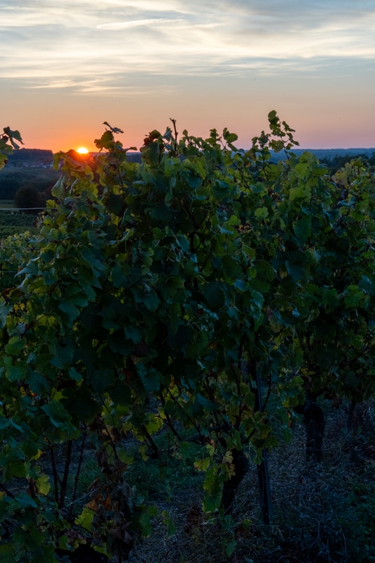 Auvergne et Périgord - 00577